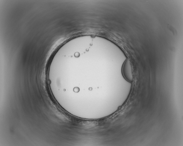 X0000111890102200908131704