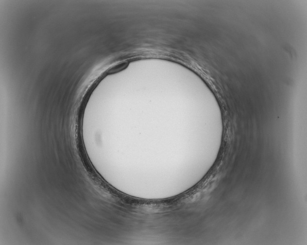 X0000111890103200908131704