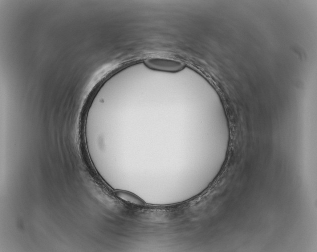 X0000111890104200908131704