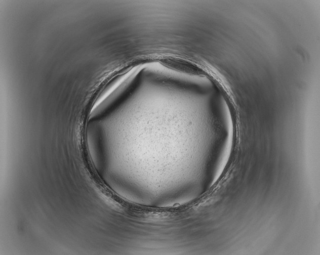 X0000111890105200908131704