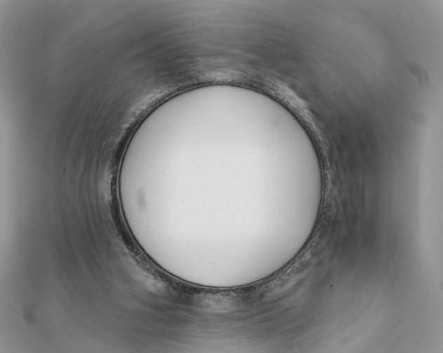 X0000111890106200908131704