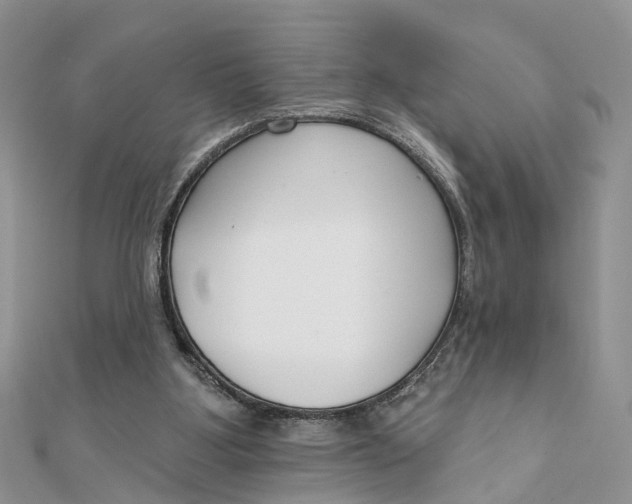 X0000111890107200908131704