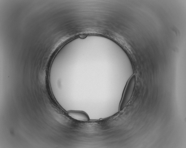 X0000111890108200908131704