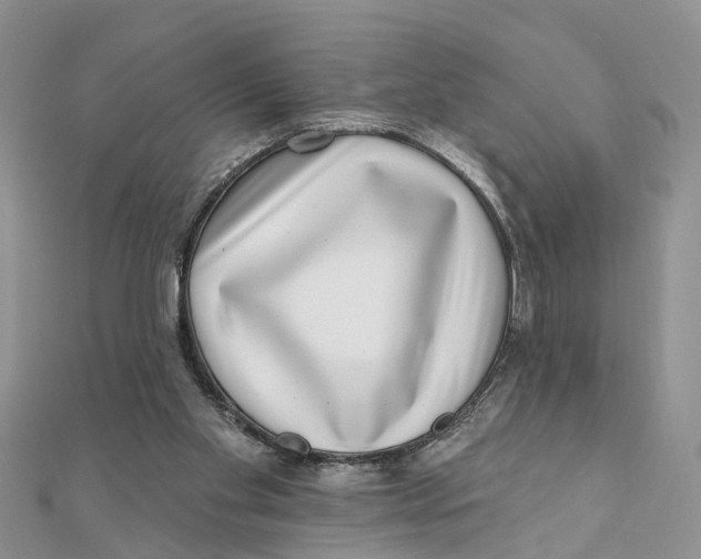 X0000111890109200908131704