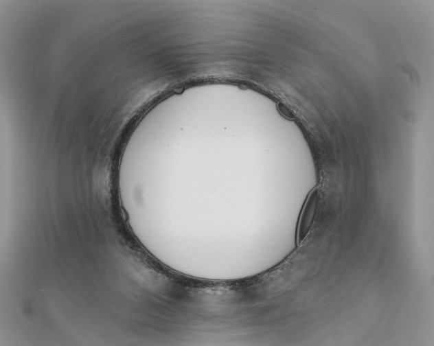 X0000111890112200908131704