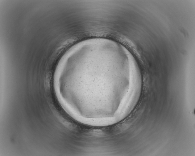 X0000111890114200908131704