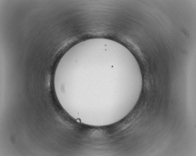 X0000111890115200908131704