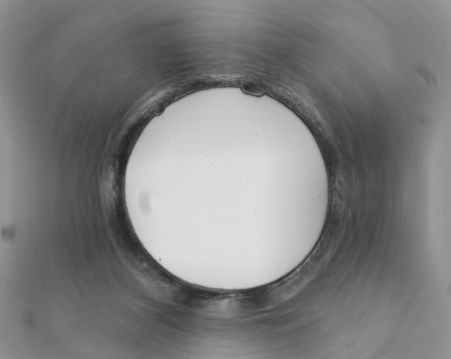 X0000111890116200908131704