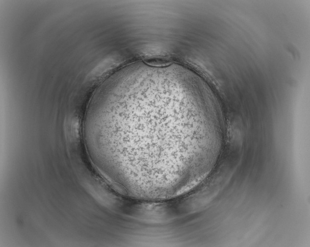 X0000111890117200908131704