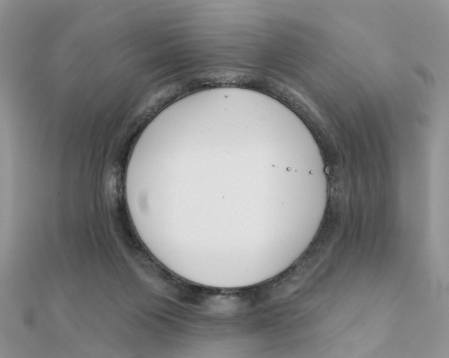 X0000111890119200908131704