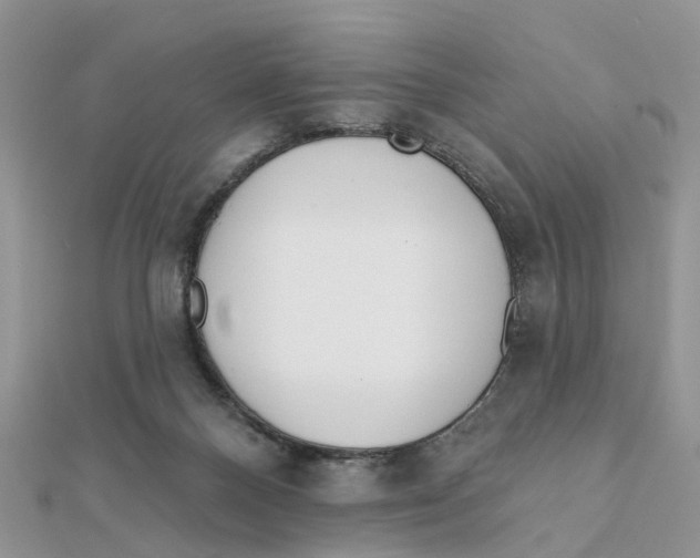 X0000111890120200908131704