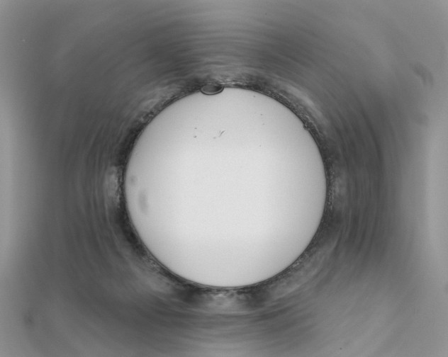 X0000111890121200908131704