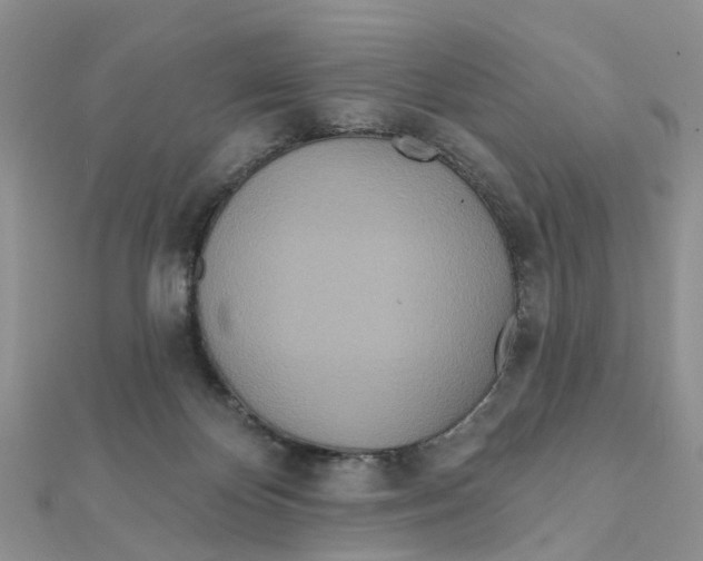 X0000111890124200908131704