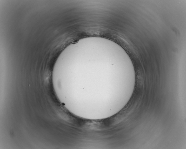 X0000111890125200908131704