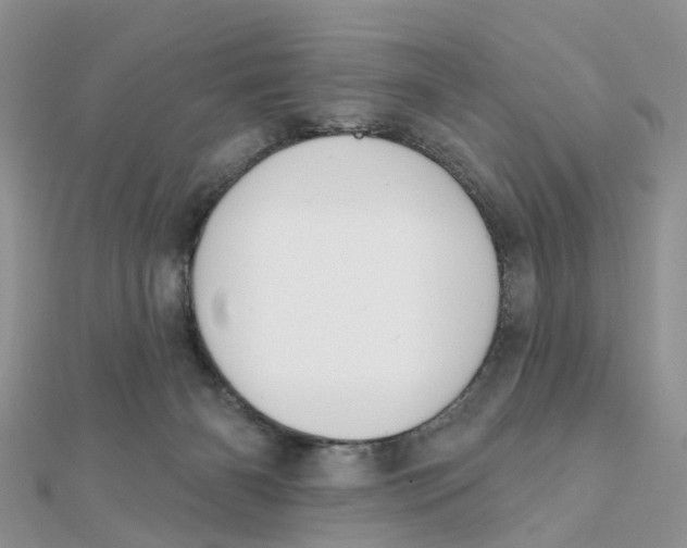 X0000111890126200908131704