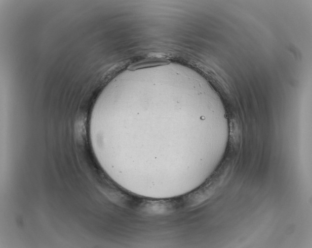 X0000111890127200908131703