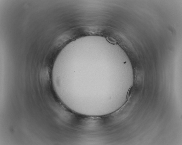 X0000111890128200908131703