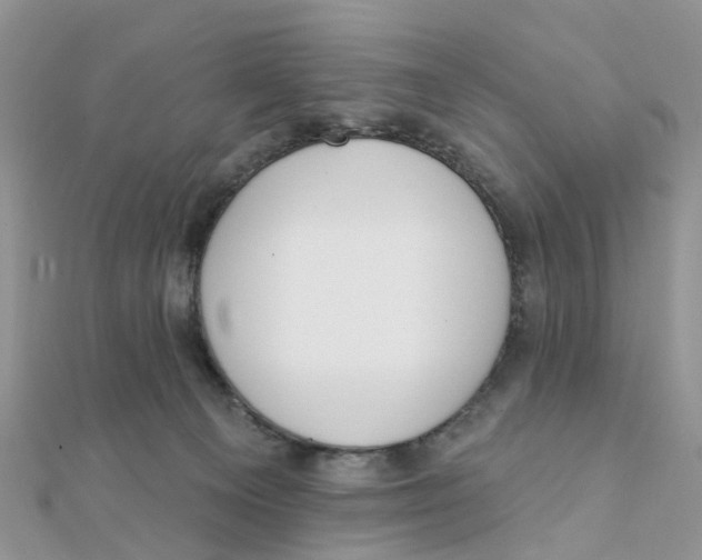 X0000111890129200908131703