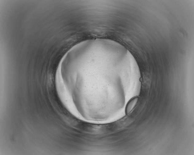 X0000111890130200908131703