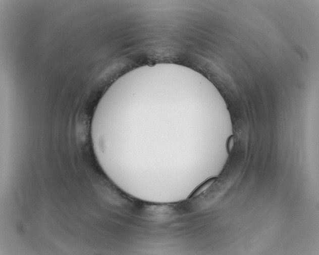 X0000111890133200908131703