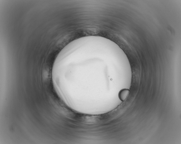 X0000111890134200908131703