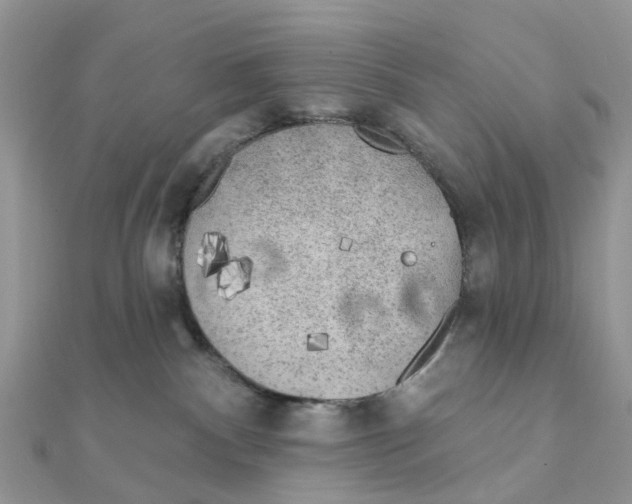 X0000111890140200908131703