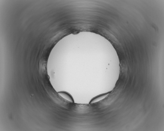 X0000111890141200908131703