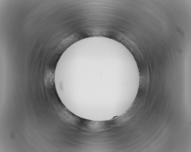 X0000111890142200908131703