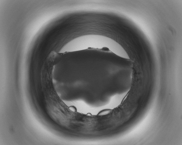 X0000111890143200908131703