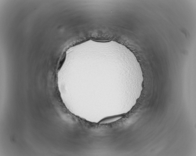 X0000111890144200908131703