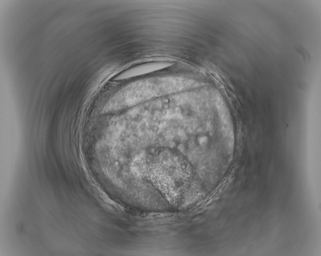 X0000111890145200908131702