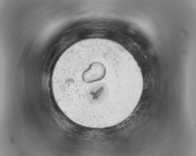 X0000111890146200908131702