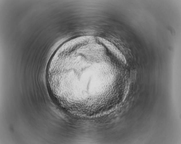 X0000111890147200908131702