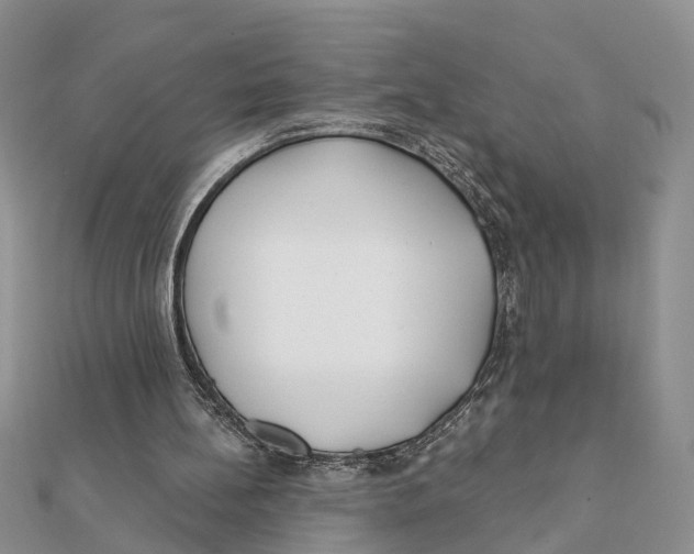 X0000111890148200908131702