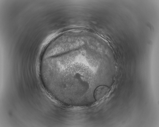 X0000111890149200908131702