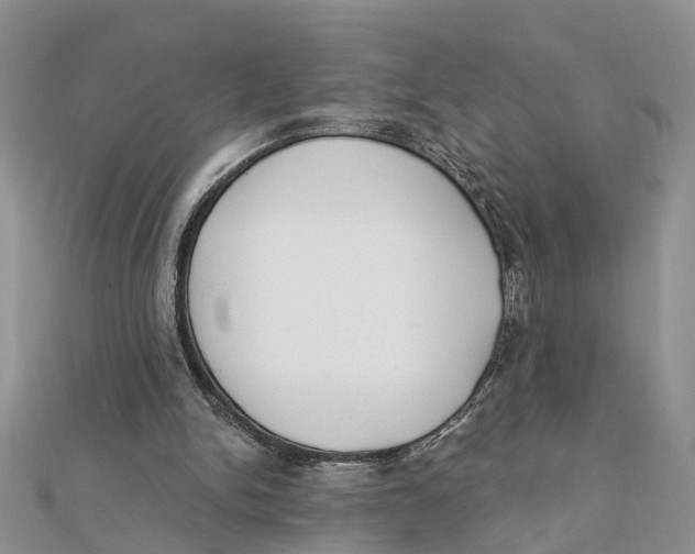 X0000111890150200908131702