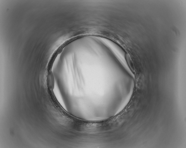 X0000111890152200908131702