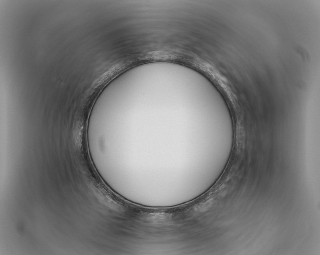 X0000111890153200908131702