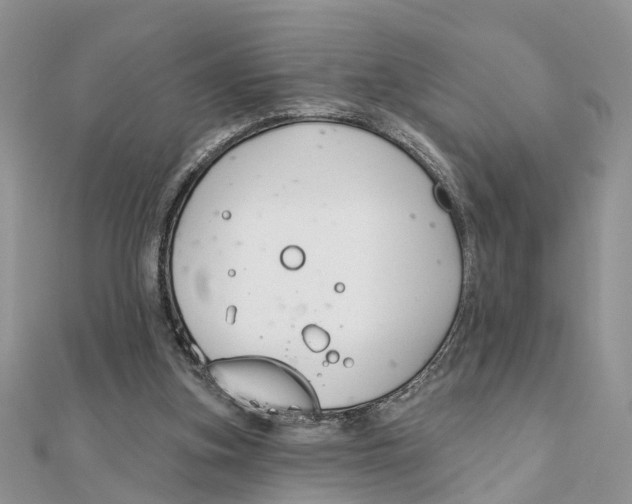 X0000111890155200908131703