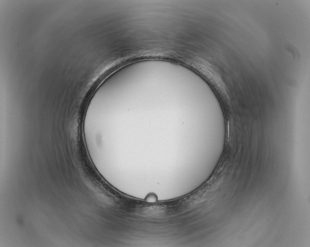 X0000111890156200908131703