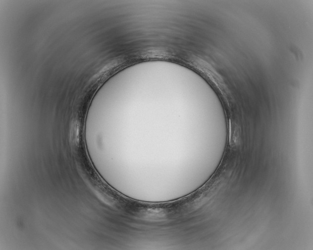 X0000111890157200908131703