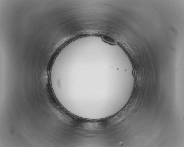 X0000111890160200908131703