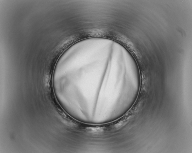 X0000111890161200908131703