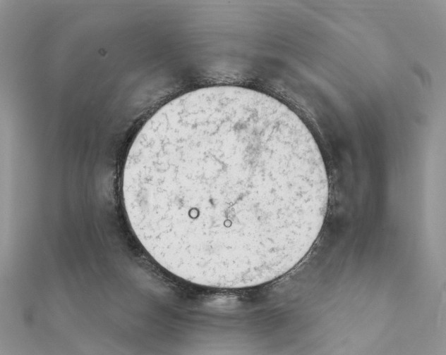 X0000111890162200908131703