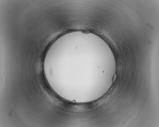 X0000111890164200908131703