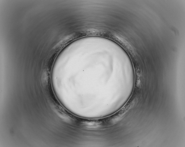 X0000111890165200908131703