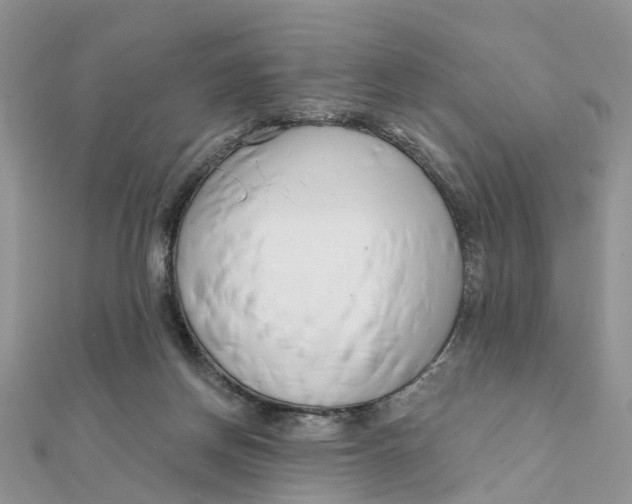 X0000111890166200908131703