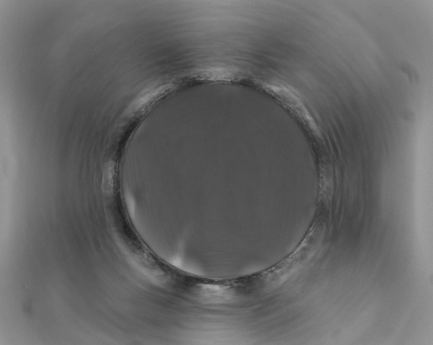 X0000111890167200908131703