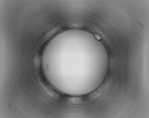 X0000111890168200908131703