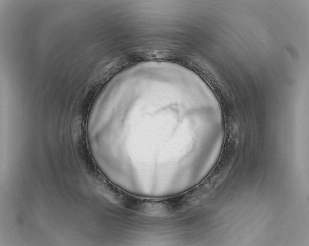 X0000111890169200908131703